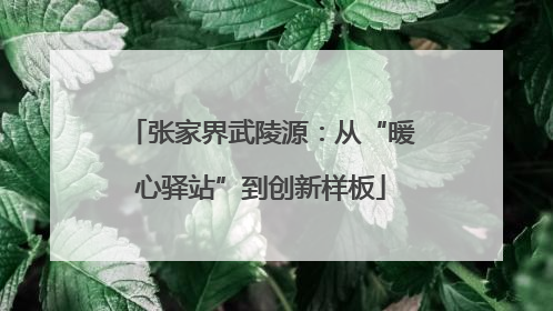 张家界武陵源：从“暖心驿站”到创新样板
