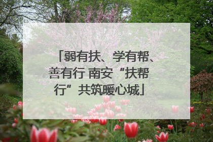 弱有扶、学有帮、善有行 南安“扶帮行”共筑暖心城