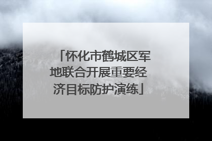 怀化市鹤城区军地联合开展重要经济目标防护演练