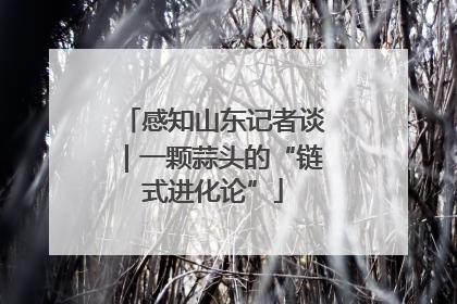 感知山东记者谈｜一颗蒜头的“链式进化论”