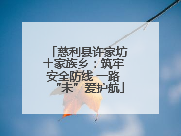 慈利县许家坊土家族乡：筑牢安全防线 一路“未”爱护航