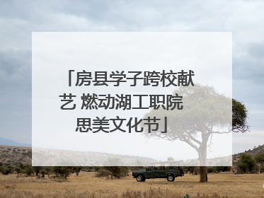 房县学子跨校献艺 燃动湖工职院思美文化节