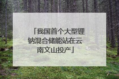 我国首个大型锂钠混合储能站在云南文山投产