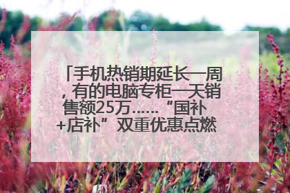 手机热销期延长一周，有的电脑专柜一天销售额25万……“国补+店补”双重优惠点燃德州“考后经济”