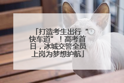 打造考生出行“快车道”！高考首日，冰城交警全员上岗为梦想护航