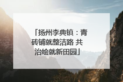 扬州李典镇：青砖铺就整洁路 共治绘就新田园