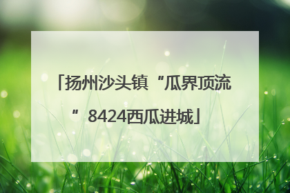 扬州沙头镇“瓜界顶流”8424西瓜进城