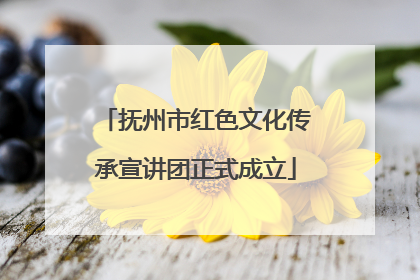 抚州市红色文化传承宣讲团正式成立