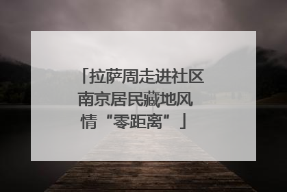 拉萨周走进社区 南京居民藏地风情“零距离”
