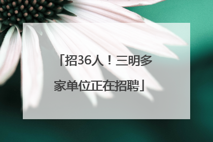 招36人！三明多家单位正在招聘