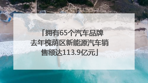 拥有65个汽车品牌 去年槐荫区新能源汽车销售额达113.9亿元