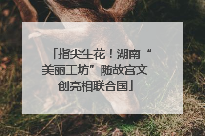 指尖生花！湖南“美丽工坊”随故宫文创亮相联合国