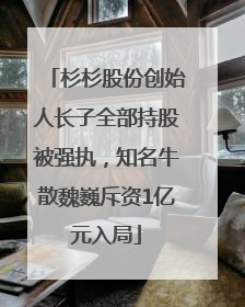 杉杉股份创始人长子全部持股被强执，知名牛散魏巍斥资1亿元入局