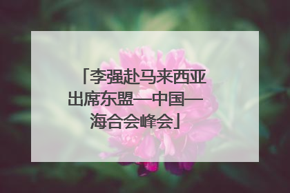 李强赴马来西亚出席东盟—中国—海合会峰会