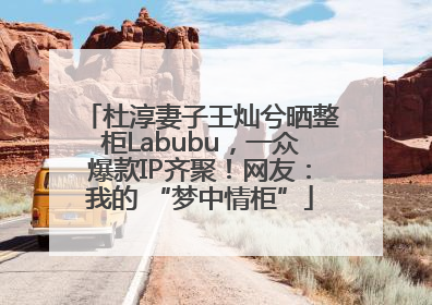 杜淳妻子王灿兮晒整柜Labubu，一众爆款IP齐聚！网友：我的 “梦中情柜”