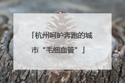 杭州呵护奔跑的城市“毛细血管”