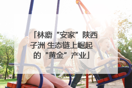 林麝“安家”陕西子洲 生态链上崛起的“黄金”产业