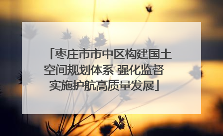 枣庄市市中区构建国土空间规划体系 强化监督实施护航高质量发展