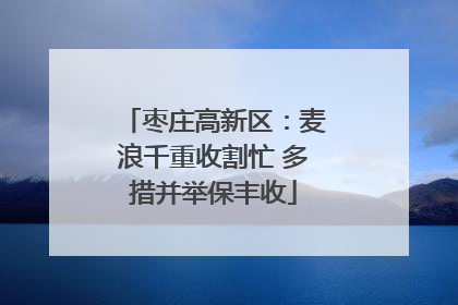 枣庄高新区：麦浪千重收割忙 多措并举保丰收