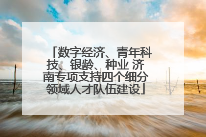 数字经济、青年科技、银龄、种业 济南专项支持四个细分领域人才队伍建设