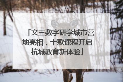文三数字研学城市营地亮相，十款课程开启杭城教育新体验