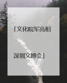 文化皖军亮相深圳文博会