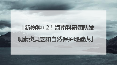 新物种+2！海南科研团队发现素贞灵芝和自然保护地壁虎