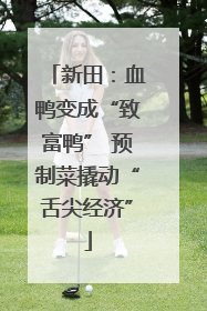 新田：血鸭变成“致富鸭” 预制菜撬动“舌尖经济”