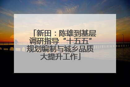 新田：陈雄到基层调研指导“十五五”规划编制与城乡品质大提升工作