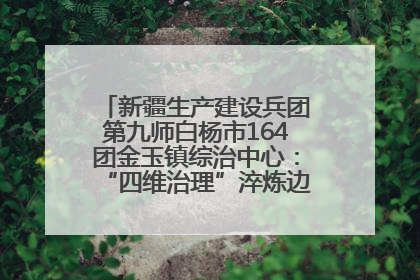 新疆生产建设兵团第九师白杨市164团金玉镇综治中心：“四维治理”淬炼边疆“枫桥样本”