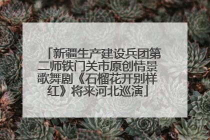 新疆生产建设兵团第二师铁门关市原创情景歌舞剧《石榴花开别样红》将来河北巡演
