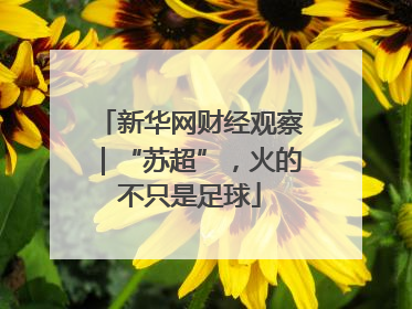 新华网财经观察｜“苏超”，火的不只是足球