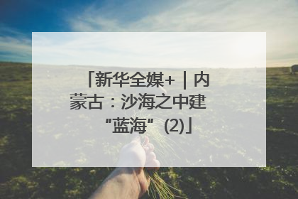 新华全媒+｜内蒙古：沙海之中建“蓝海”(2)