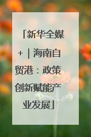 新华全媒+｜海南自贸港：政策创新赋能产业发展
