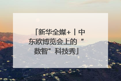 新华全媒+丨中东欧博览会上的“数智”科技秀