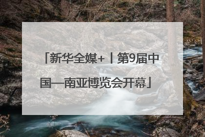 新华全媒+丨第9届中国—南亚博览会开幕