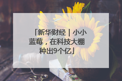 新华财经｜小小蓝莓，在科技大棚种出9个亿