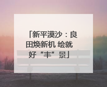 新平漠沙：良田焕新机 绘就好“丰”景
