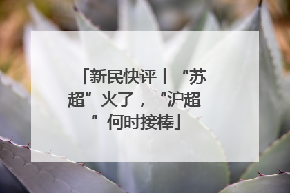 新民快评丨“苏超”火了，“沪超”何时接棒