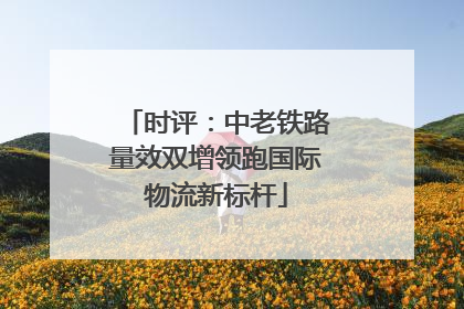 时评：中老铁路量效双增领跑国际物流新标杆