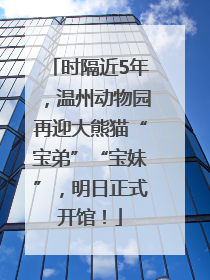 时隔近5年，温州动物园再迎大熊猫“宝弟”“宝妹”，明日正式开馆！