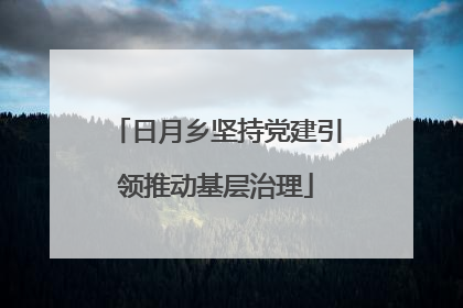 日月乡坚持党建引领推动基层治理