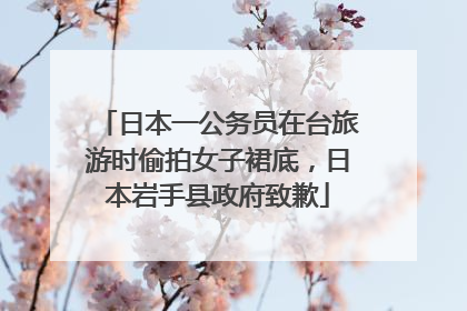 日本一公务员在台旅游时偷拍女子裙底，日本岩手县政府致歉