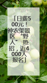 日薪500元！神农架景区 “野人” 热招，近4000人报名