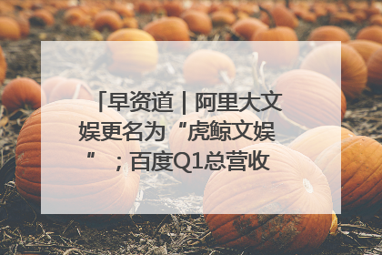早资道｜阿里大文娱更名为“虎鲸文娱”；百度Q1总营收325亿元超预期
