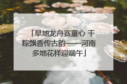 旱地龙舟赛童心 千粽飘香传古韵——河南多地花样迎端午