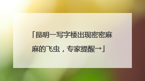 昆明一写字楼出现密密麻麻的飞虫，专家提醒→