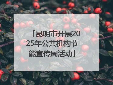 昆明市开展2025年公共机构节能宣传周活动