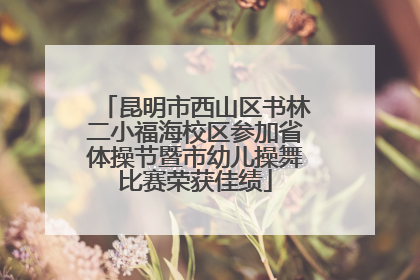昆明市西山区书林二小福海校区参加省体操节暨市幼儿操舞比赛荣获佳绩