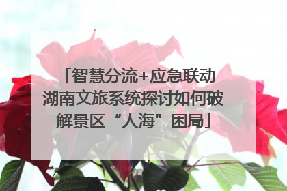 智慧分流+应急联动 湖南文旅系统探讨如何破解景区“人海”困局